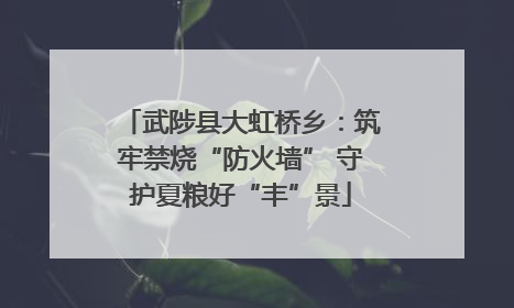 武陟县大虹桥乡：筑牢禁烧“防火墙” 守护夏粮好“丰”景