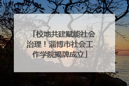 校地共建赋能社会治理！淄博市社会工作学院揭牌成立