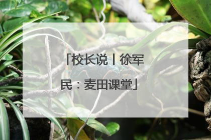 校长说丨徐军民：麦田课堂