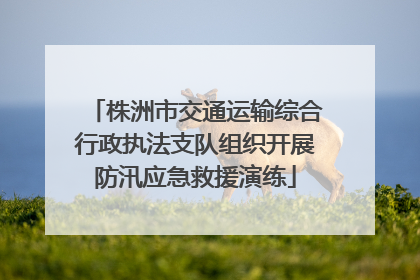 株洲市交通运输综合行政执法支队组织开展防汛应急救援演练