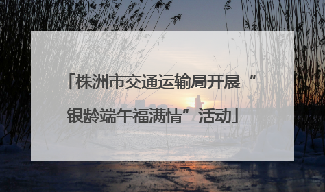 株洲市交通运输局开展“银龄端午福满情”活动