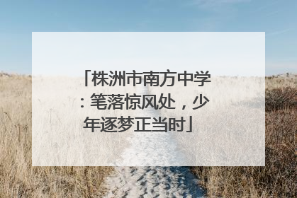 株洲市南方中学：笔落惊风处，少年逐梦正当时