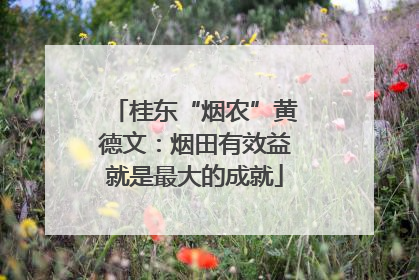 桂东“烟农”黄德文：烟田有效益就是最大的成就