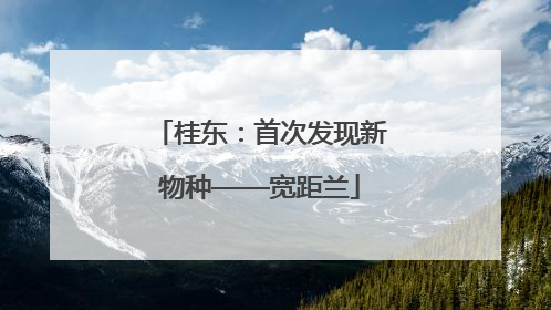 桂东：首次发现新物种——宽距兰