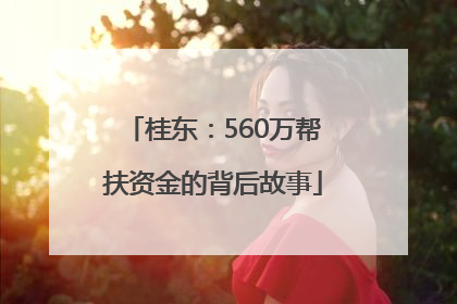 桂东：560万帮扶资金的背后故事