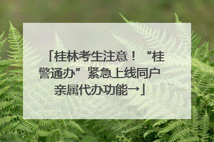 桂林考生注意！“桂警通办”紧急上线同户亲属代办功能→