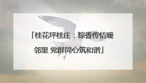 桂花坪桂庄：粽香传情暖邻里 党群同心筑和谐