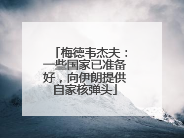 梅德韦杰夫：一些国家已准备好，向伊朗提供自家核弹头