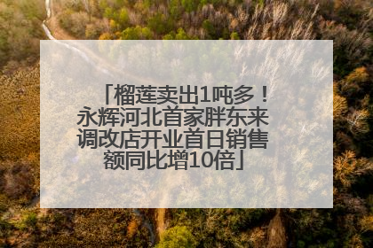 榴莲卖出1吨多！永辉河北首家胖东来调改店开业首日销售额同比增10倍