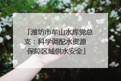 潍坊市牟山水库党总支：科学调配水资源 保障区域供水安全