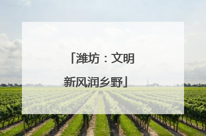 潍坊：文明新风润乡野
