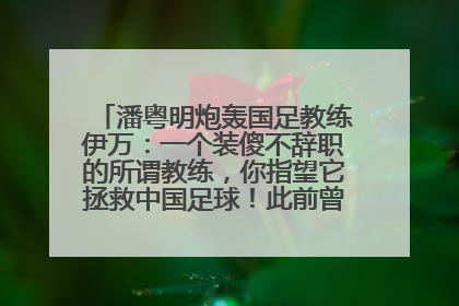 潘粤明炮轰国足教练伊万：一个装傻不辞职的所谓教练，你指望它拯救中国足球！此前曾多次发文评价国足