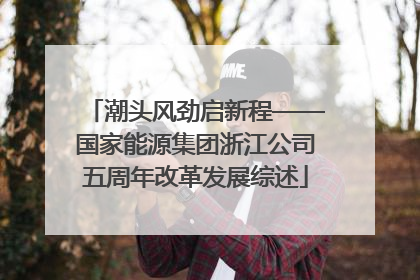 潮头风劲启新程——国家能源集团浙江公司五周年改革发展综述