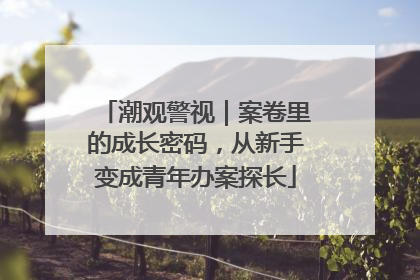 潮观警视｜案卷里的成长密码，从新手变成青年办案探长