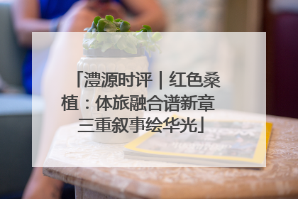 澧源时评｜红色桑植：体旅融合谱新章 三重叙事绘华光