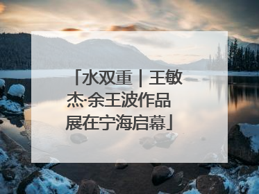 水双重｜王敏杰·余王波作品展在宁海启幕