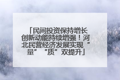 民间投资保持增长 创新动能持续增强!河北民营经济发展实现“量”“质”双提升