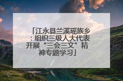 江永县兰溪瑶族乡：组织三级人大代表开展“三会三文”精神专题学习