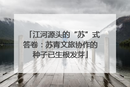 江河源头的“苏”式答卷：苏青文旅协作的种子已生根发芽