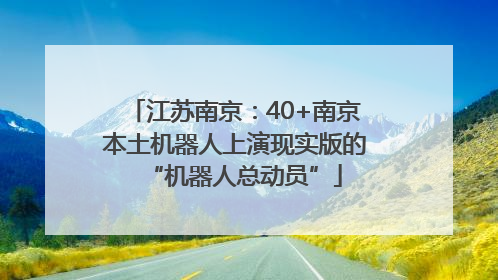 江苏南京：40+南京本土机器人上演现实版的“机器人总动员”