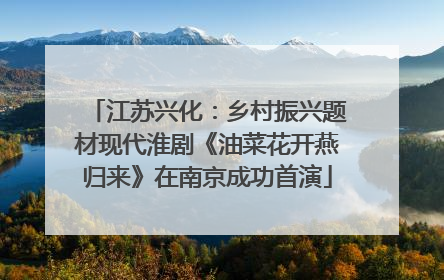 江苏兴化：乡村振兴题材现代淮剧《油菜花开燕归来》在南京成功首演