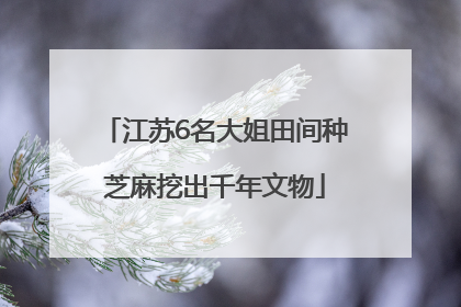 江苏6名大姐田间种芝麻挖出千年文物