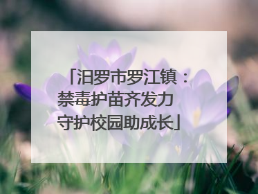 汨罗市罗江镇：禁毒护苗齐发力 守护校园助成长