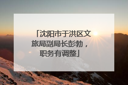 沈阳市于洪区文旅局副局长彭勃，职务有调整