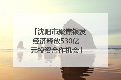 沈阳市聚焦银发经济释放530亿元投资合作机会