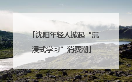 沈阳年轻人掀起“沉浸式学习”消费潮