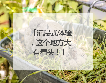 沉浸式体验，这个地方大有看头！