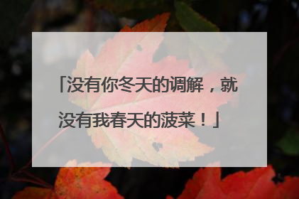 没有你冬天的调解，就没有我春天的菠菜！