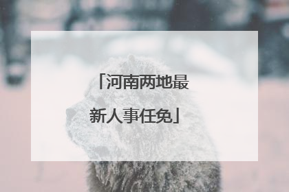 河南两地最新人事任免