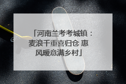 河南兰考考城镇：麦浪千重喜归仓 惠风暖意满乡村