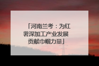 河南兰考：为红薯深加工产业发展贡献巾帼力量