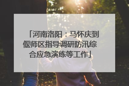 河南洛阳：马怀庆到偃师区指导调研防汛综合应急演练等工作