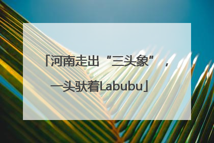 河南走出“三头象”，一头驮着Labubu