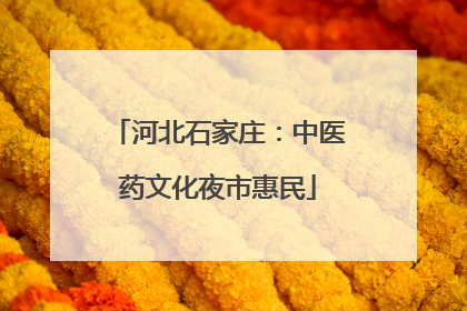 河北石家庄：中医药文化夜市惠民