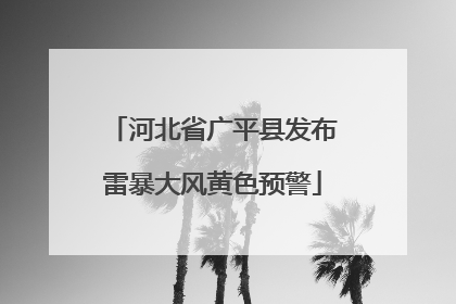 河北省广平县发布雷暴大风黄色预警