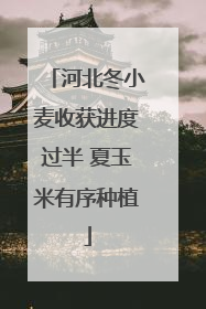 河北冬小麦收获进度过半 夏玉米有序种植