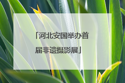 河北安国举办首届非遗摄影展