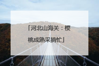 河北山海关：樱桃成熟采摘忙