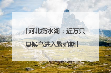 河北衡水湖：近万只夏候鸟进入繁殖期