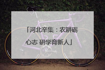 河北辛集：农耕砺心志 研学育新人
