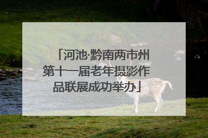 河池·黔南两市州第十一届老年摄影作品联展成功举办