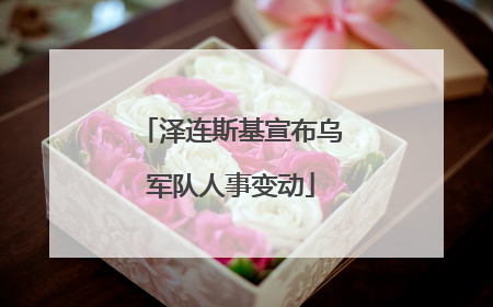 泽连斯基宣布乌军队人事变动