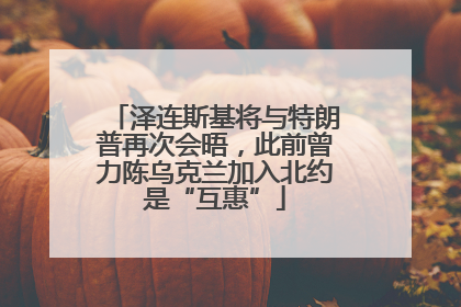 泽连斯基将与特朗普再次会晤，此前曾力陈乌克兰加入北约是“互惠”