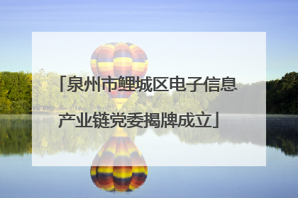 泉州市鲤城区电子信息产业链党委揭牌成立