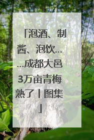 泡酒、制酱、泡饮……成都大邑3万亩青梅熟了丨图集