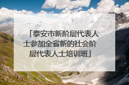 泰安市新阶层代表人士参加全省新的社会阶层代表人士培训班